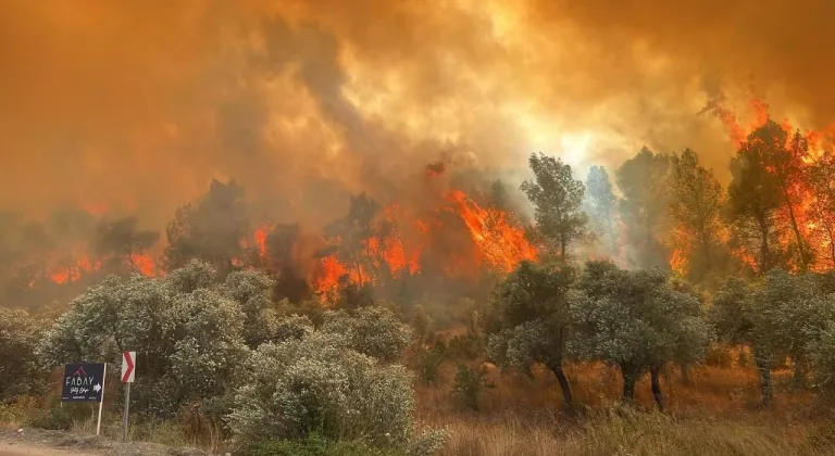 12 ilde 65 orman yangını: 44 gözaltı, 10 tutuklama