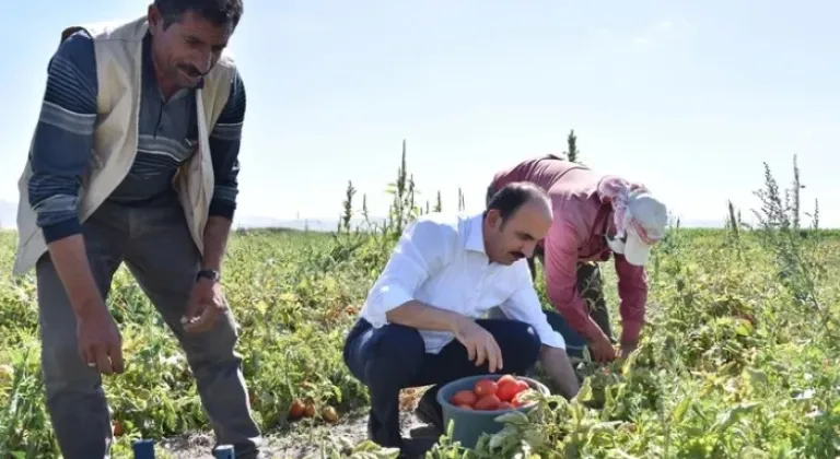 2026 Yılı Konya Fidan ve Fide Destekleri İçin Başvurular Açıldı









