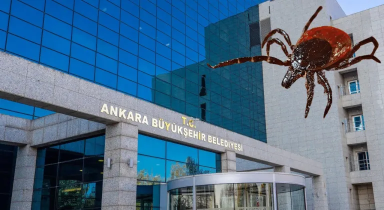 Ankara Büyükşehir’den kene uyarısı: Yeşil alanlara gidenler dikkat!