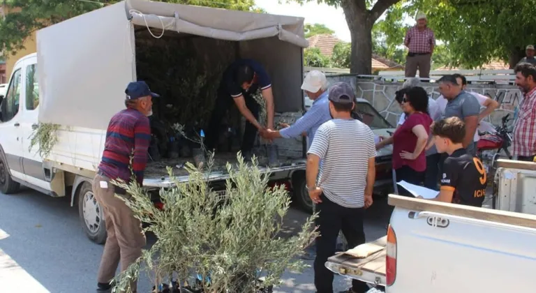 Antalya Büyükşehir Belediyesi'nden 19 ilçeye 40 bin zeytin fidanı desteği