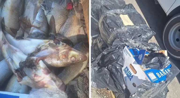 Antalya Otogarı’nda su ürünlerine denetim: 100 kg ürüne el konuldu