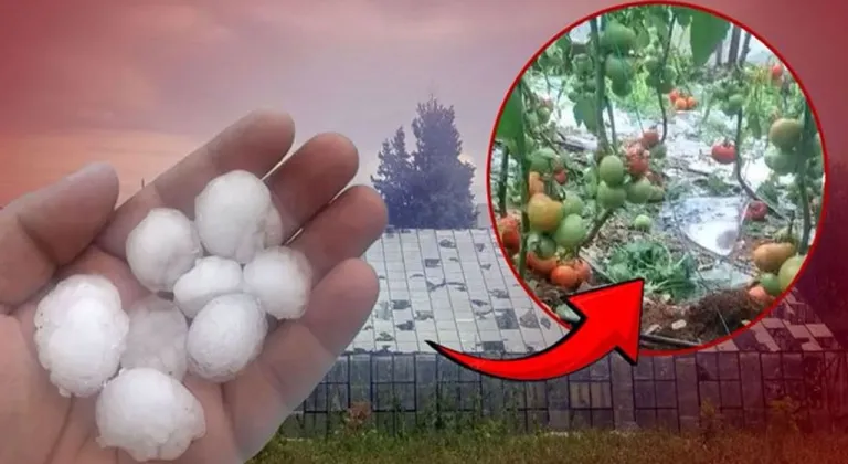 Antalya'da ceviz büyüklüğünde dolu tarım alanlarını vurdu