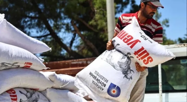 Antalya'da yem desteğiyle süt üretimine güçlü katkı