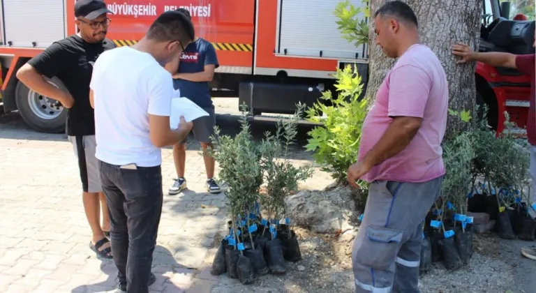 Antalya'lı üreticiye zeytin fidanı desteği!