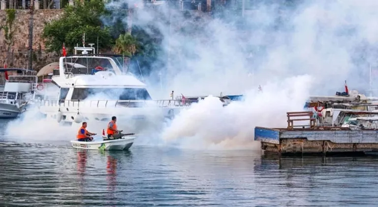 Antalya’nın her köşesinde vektörle mücadele