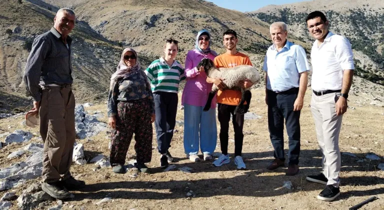 Atabey’de koyun projesi başarıyla tamamlandı!