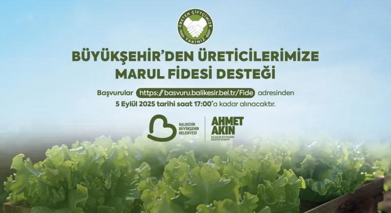 Balıkesir Büyükşehirden çiftçilere marul fidesi desteği