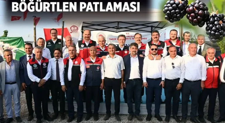 Batman böğürtlen diyarı oldu