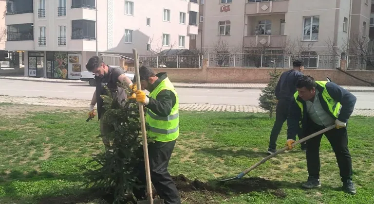 Bayburt Belediyesinden bahar mesaisi