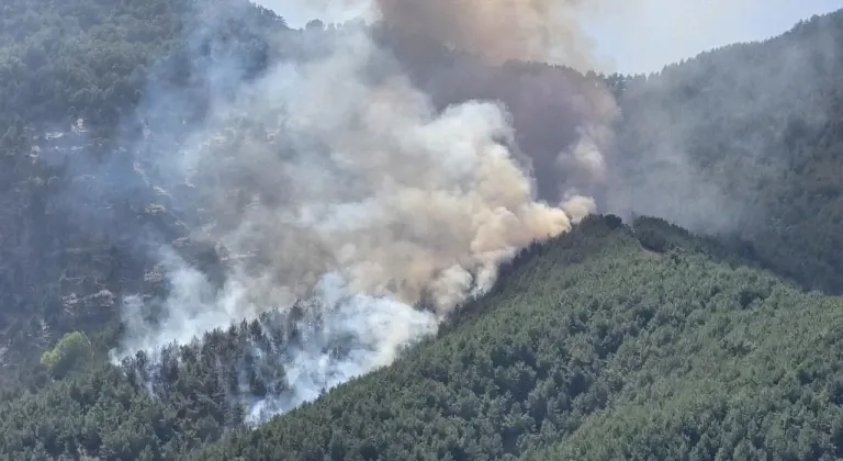 Bolu'da orman yangınına havadan ve karadan müdahale