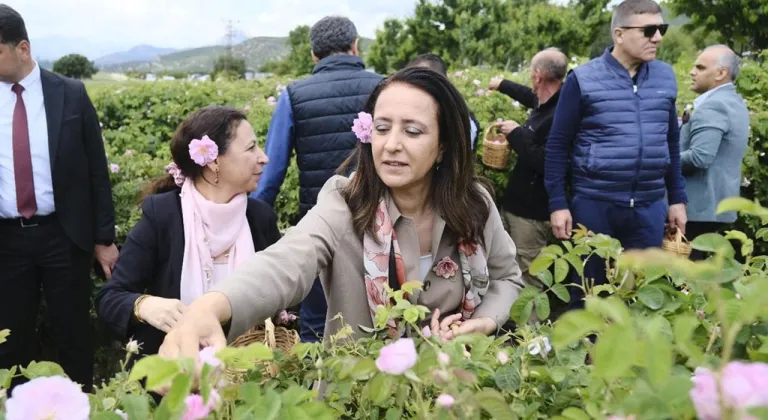 Burdur’da gül kokulu sabah: DoğaFest Lisinia’da gül hasadıyla renklendi