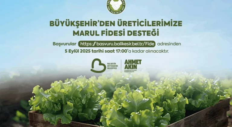 Büyükşehir’den Çiftçilere Marul Fidesi Desteği Sağlandı