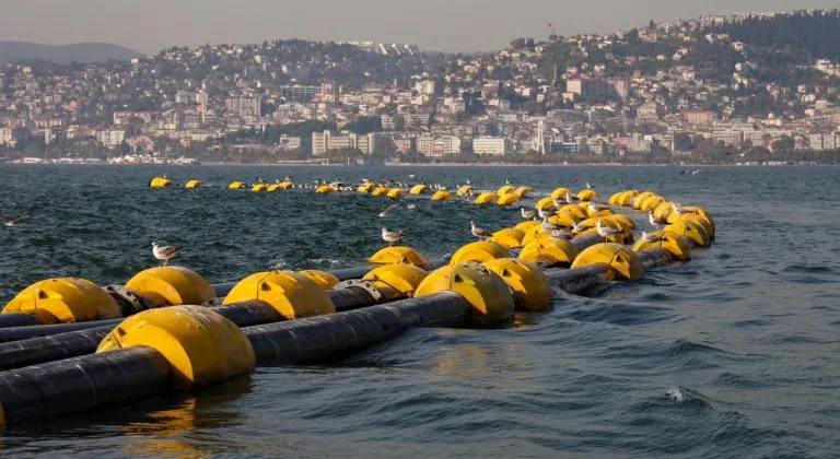 Çamur gidiyor, yeni canlılar geliyor