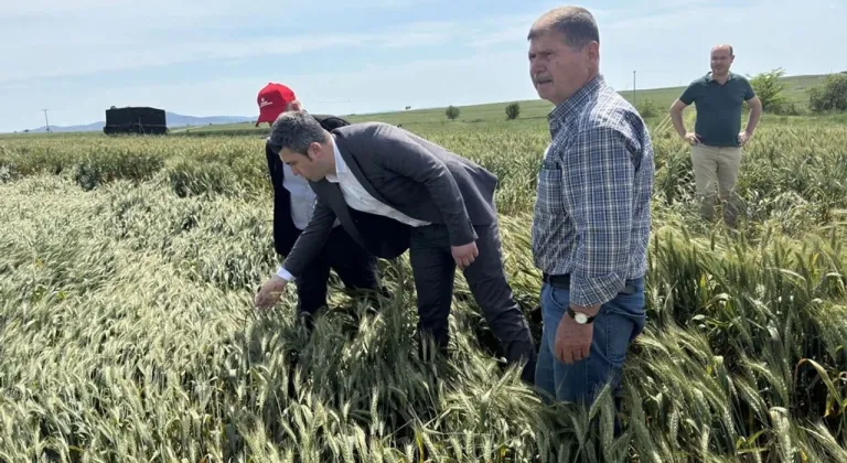 CHP Keşan AK Partilileri tarlaya davet etti!