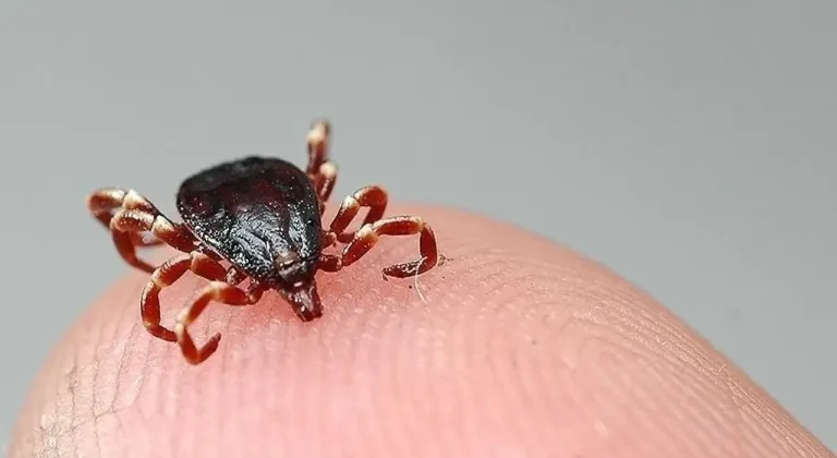 Çorum’da KKKA şüphesiyle tedavi gören kişi yaşamını yitirdi
