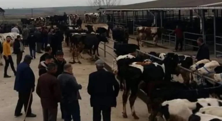 Manşet Resmi