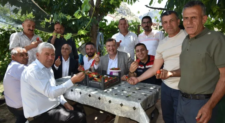 Eğirdir‘de topraksız toprakla çilek hasadı başladı