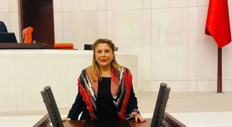 Elvan Işık Gezmiş, Giresun'un sorunlarını Meclis'e taşıyor