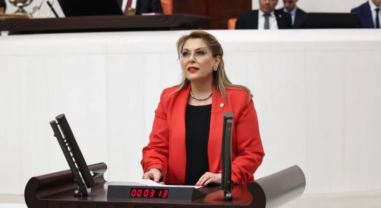 Elvan Işık Gezmiş İstiklal Madalyası için kanun teklifi verdi