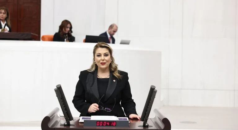 Elvan Işık Gezmiş: Kadın ölümleri neden araştırılmıyor?