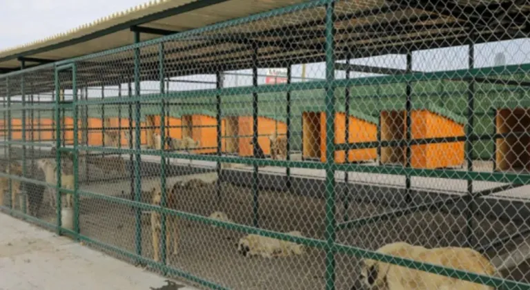 En modern hayvan barınağı Isparta’da