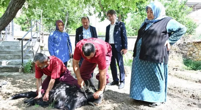 Evlere giderek tek tek kurbanları kestiler