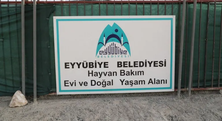 Eyyübiye, sokak hayvanları sorununu çözdü