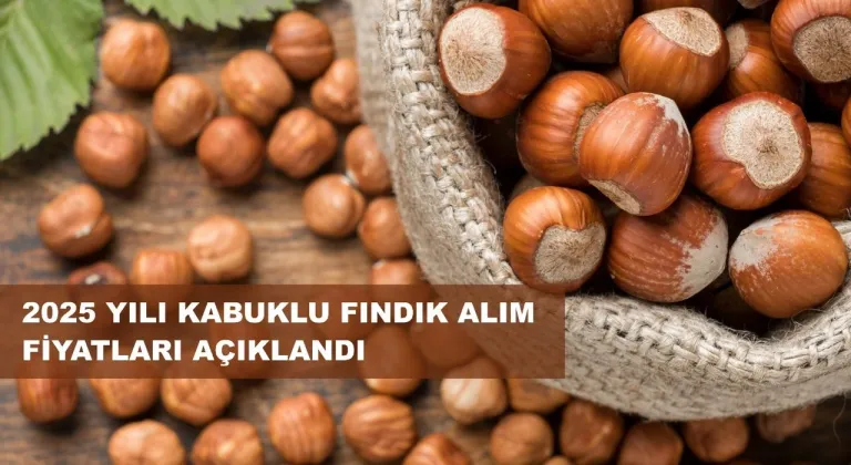 Fındık Taban Fiyatı Açıklandı; Fiyat 195 Lira...