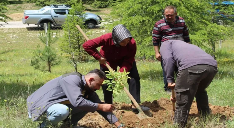 İbradı’da şehitler için fidan dikildi