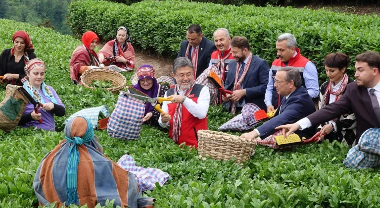 İbrahim Yumaklı: Meteorolojik olayların çaya bizim korktuğumuz bir etkisi olmadı