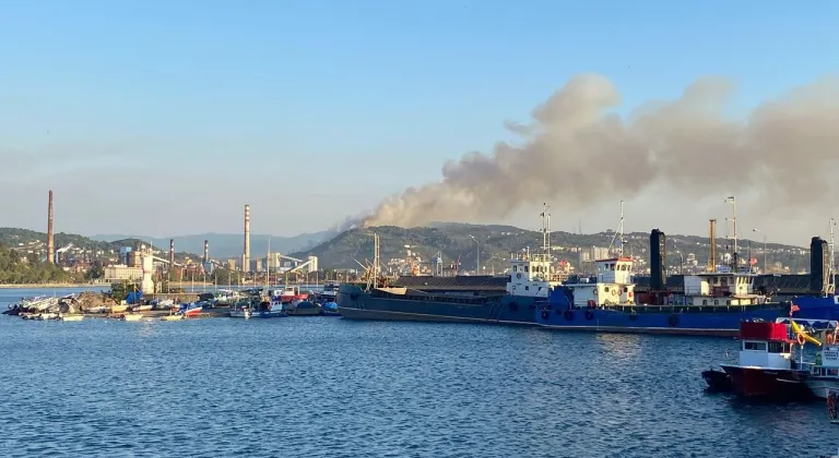 Karadeniz Ereğli'de orman yangını