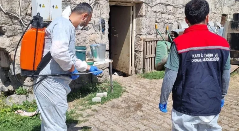 Kars'ta İlçe Tarım ve Orman Müdürlüğü ekipleri sahada: Yayıklı Köyü'nde dezenfeksiyon ve kontrol çalışması