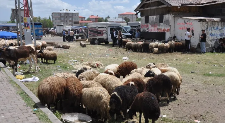 Kars’ta Kurban Bayramı yoğunluğu: Çarşı, pazar ve trafikte hareketlilik arttı