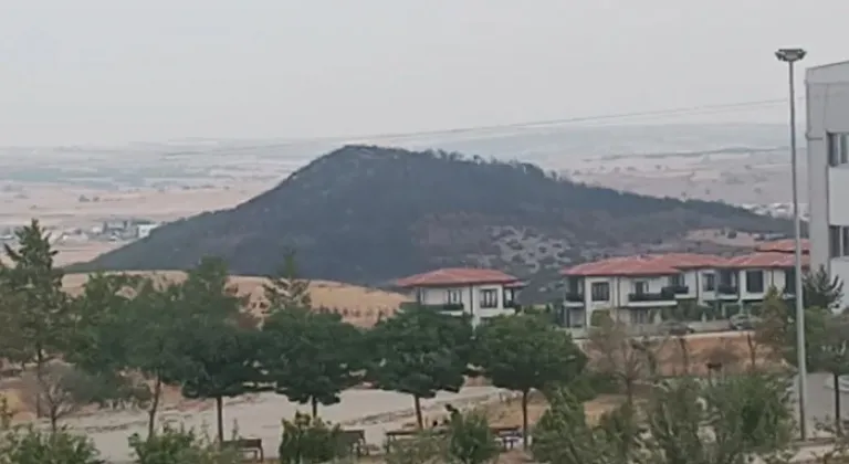 Keşan Sivritepe İçin Doğa Yeniden Canlanacak mı?