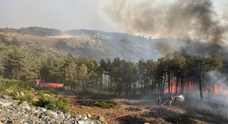 Kocaeli Büyükşehir Belediyesi'nden Bursa’daki yangına tam destek