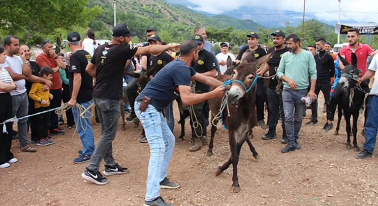 Kumluca Karacaören Şenliği:  Motokros heyecanı ve eşek yarışları renk kattı