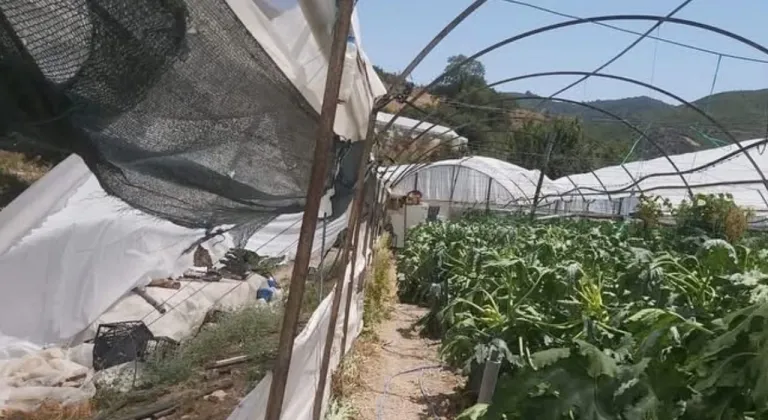 Kumluca'da hortum seraları vurdu: Çiftçiler zarar gördü