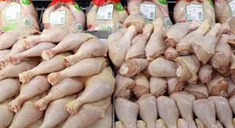 Mayıs ayında tavuk eti üretiminde artış, yumurta üretiminde düşüş yaşandı