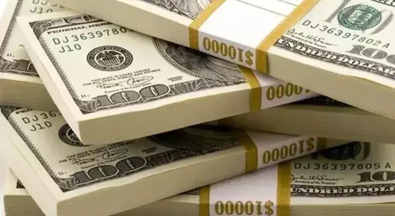 Merkez Bankası rezervlerinde artış: 168,6 milyar dolar seviyesine ulaşıldı