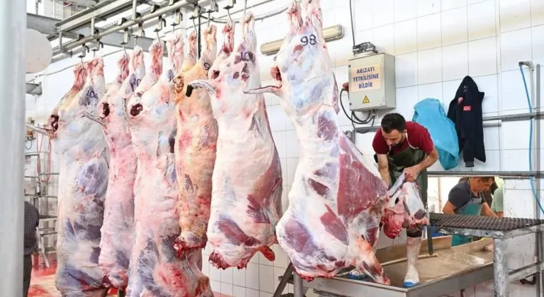 Mezbahada 250 büyükbaş kurban kesimi gerçekleştirildi