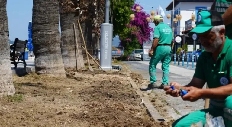 Milas Belediyesi, Güllük’te Çalışmalarını Hızlandırdı








