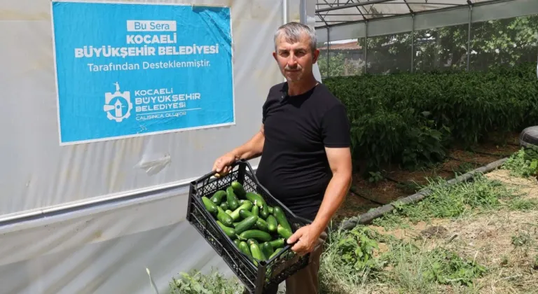 Modern seralarda hasat bereketi