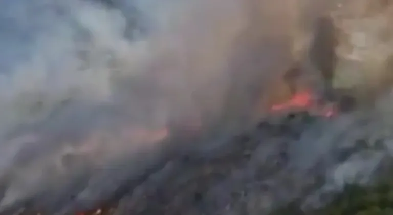 Muğla Seydikemer’de Orman Yangınına Müdahale Sürüyor