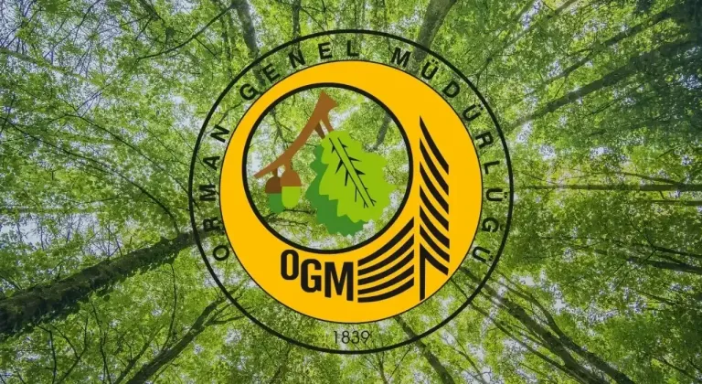 OGM: Orman yangını riski yükseldi, dikkatli olalım!