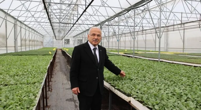 Ordu Büyükşehir, 5 yılda 4 milyon sebze fidesi dağıttı