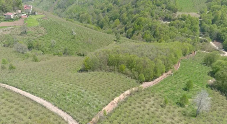 Ordu Büyükşehir Belediyesi'nden Gürgentepe'ye ilave içme suyu