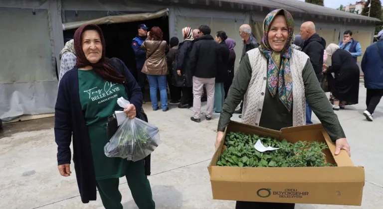 Ordu Büyükşehir Belediyesi'nin fide dağıtımına üreticilerden yoğun ilgi