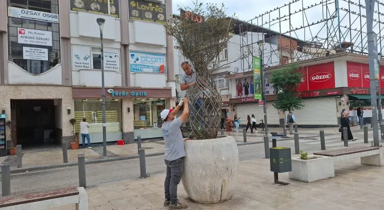 Ordu'nun kent estetiğine büyükşehir dokunuşu