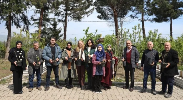 Ordu’nun meyve ağaçları profesyonel ellerde aşılanacak