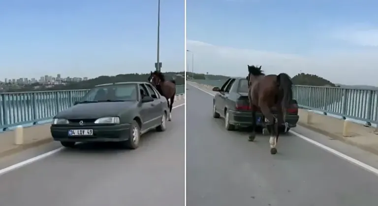 Otomobile bağladığı at ile ilerleyen 2 kişi gözaltına alındı